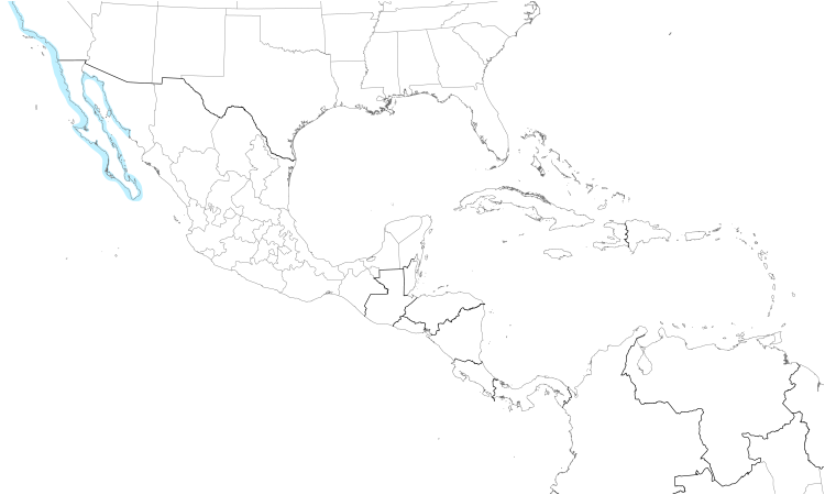 Range Map (Central): Glaucous-winged Gull