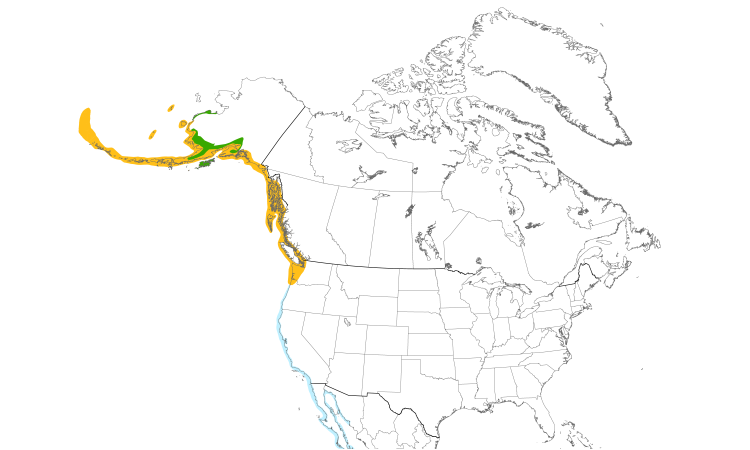 Range Map (North): Glaucous-winged Gull
