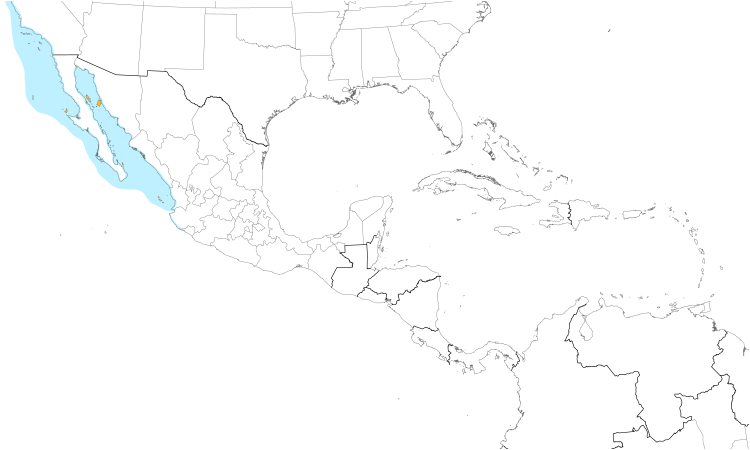 Range Map (Central): Heermann's Gull
