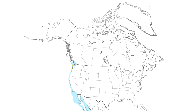 Range Map (North): Heermann's Gull
