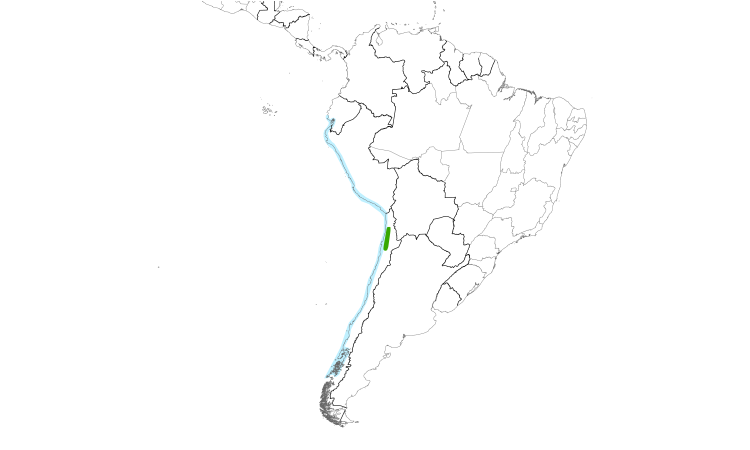 Range Map (South): Gray Gull
