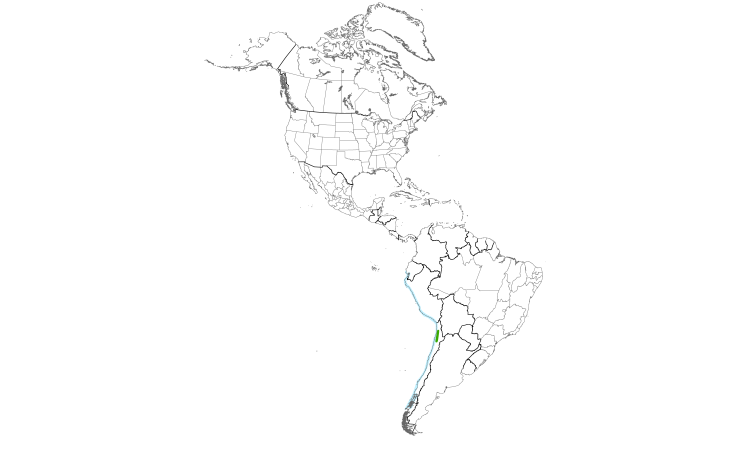 Range Map (Americas): Gray Gull