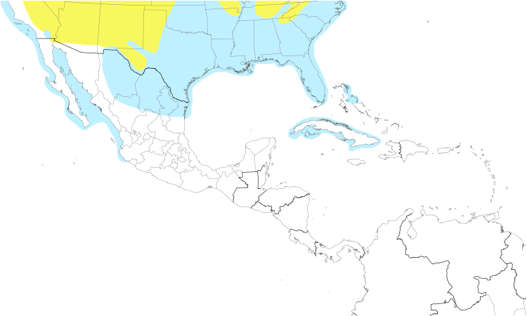 Range Map (Central): Bonaparte's Gull