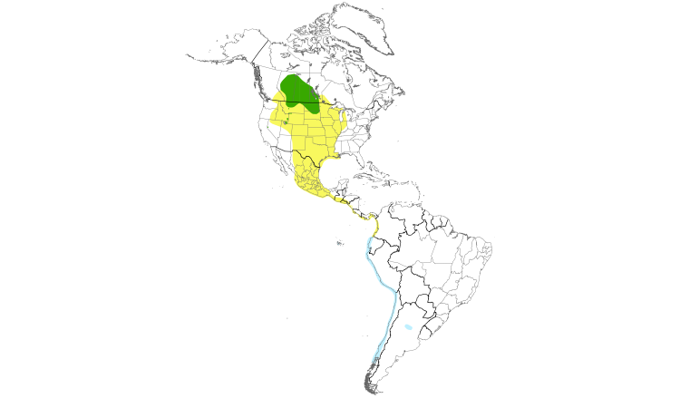 Range Map (Americas): Franklin's Gull