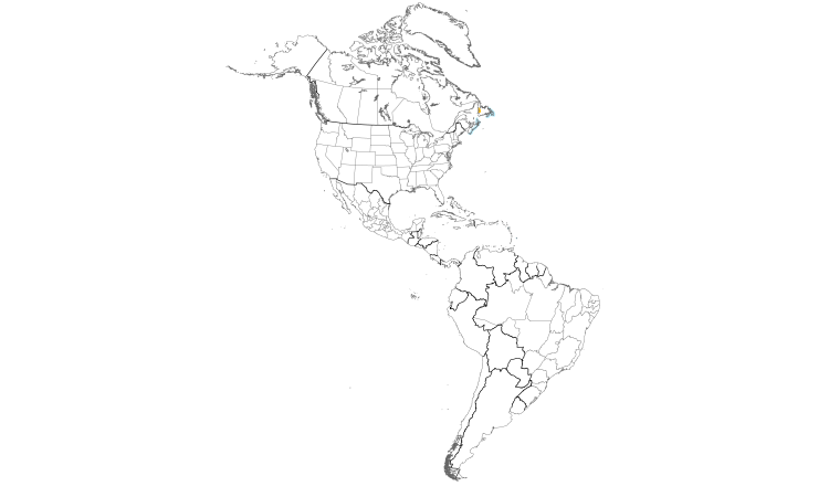 Range Map (Americas): Black-headed Gull
