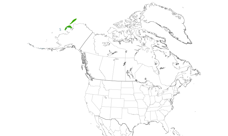 Range Map (North): Slaty-backed Gull
