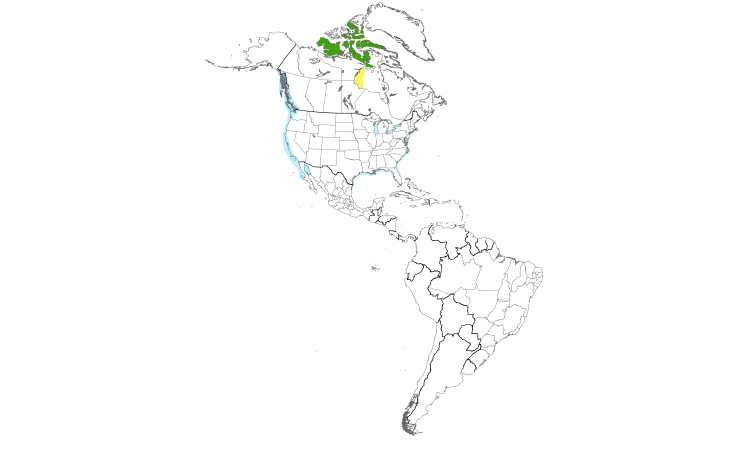 Range Map (Americas): Quiz Species