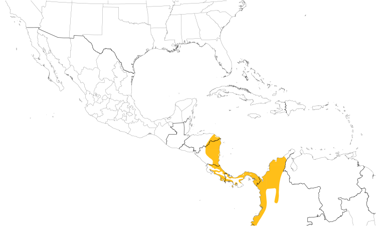 Range Map (Central): White-throated Crake