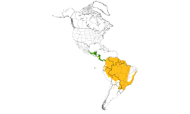 Range Map (Americas): Piratic Flycatcher