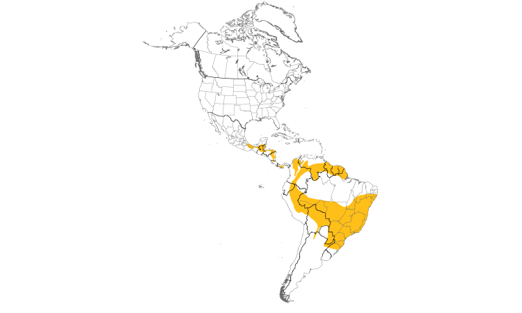 Range Map (Americas): Sepia-capped Flycatcher