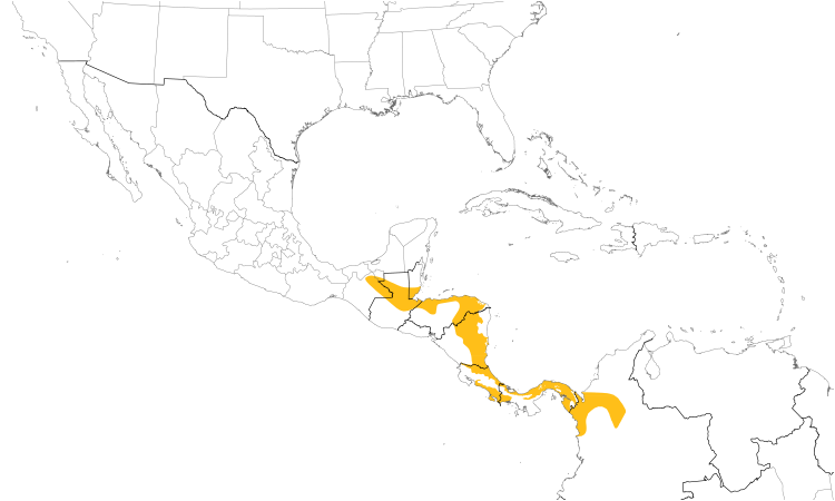 Range Map (Central): Gray-chested Dove
