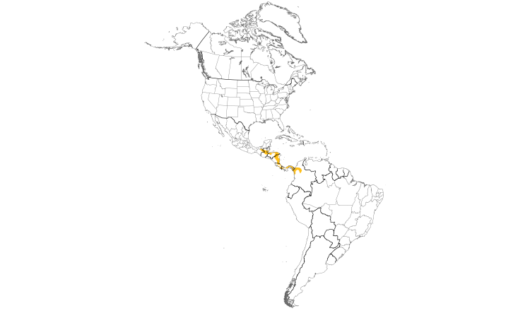 Range Map (Americas): Gray-chested Dove