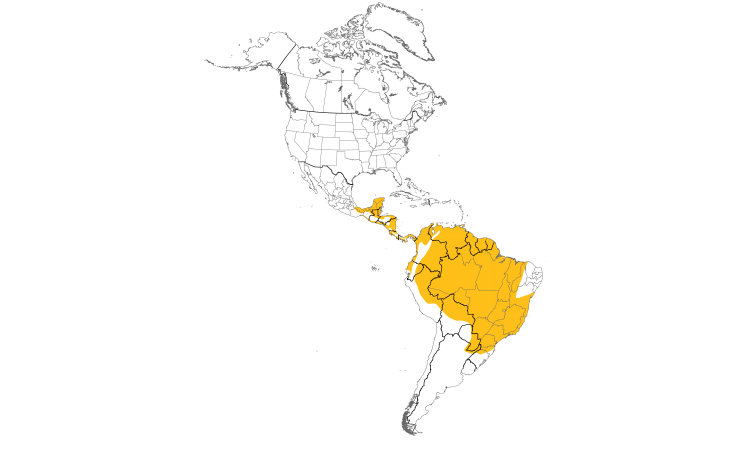 Range Map (Americas): Gray-headed Kite