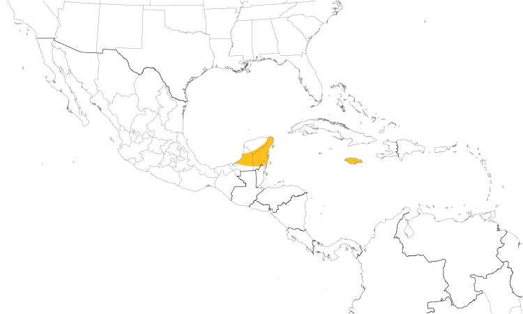 Range Map (Central): Caribbean Dove