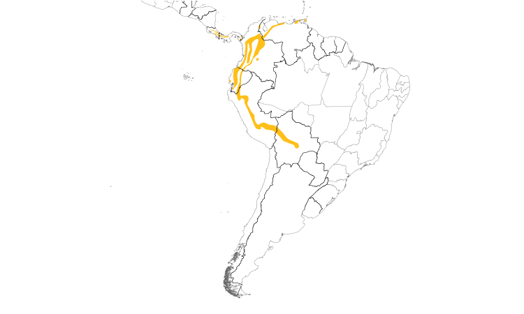 Range Map (South): Slaty-capped Flycatcher