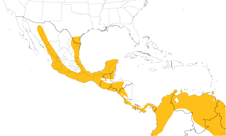 Range Map (Central): White-tipped Dove