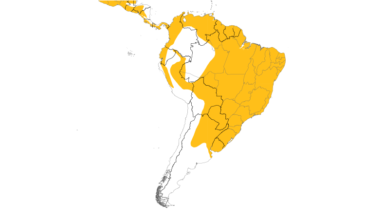 Range Map (South): White-tipped Dove