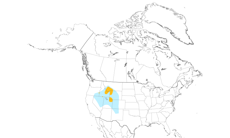 Range Map (North): Black Rosy-Finch