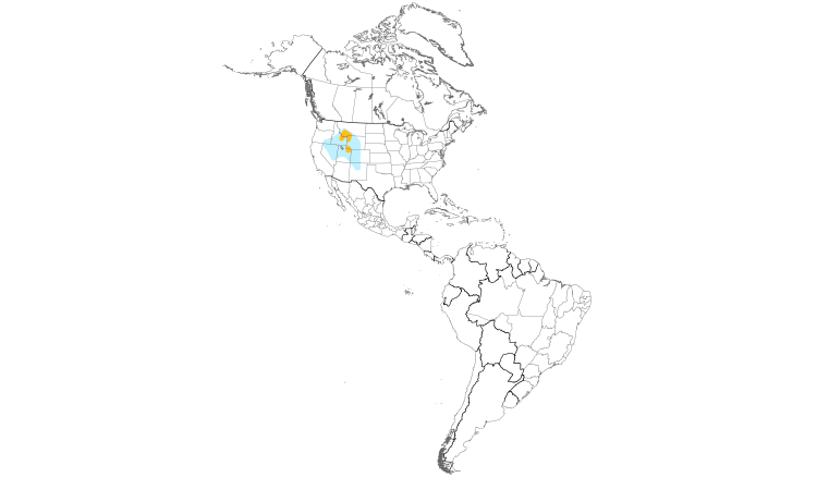 Range Map (Americas): Black Rosy-Finch