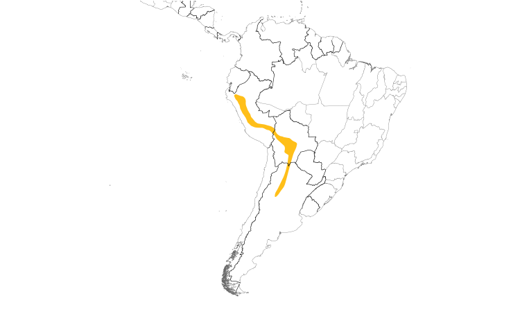 Range Map (South): White-bellied Hummingbird
