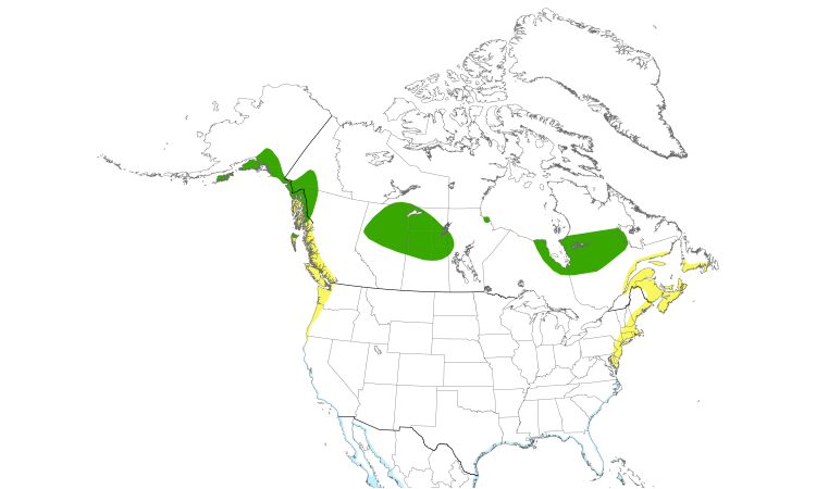 Range Map (North): Short-billed Dowitcher