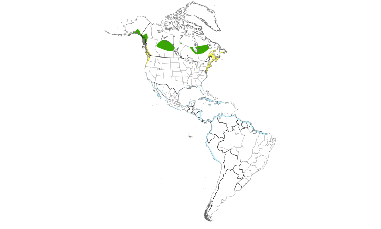 Range Map (Americas): Short-billed Dowitcher