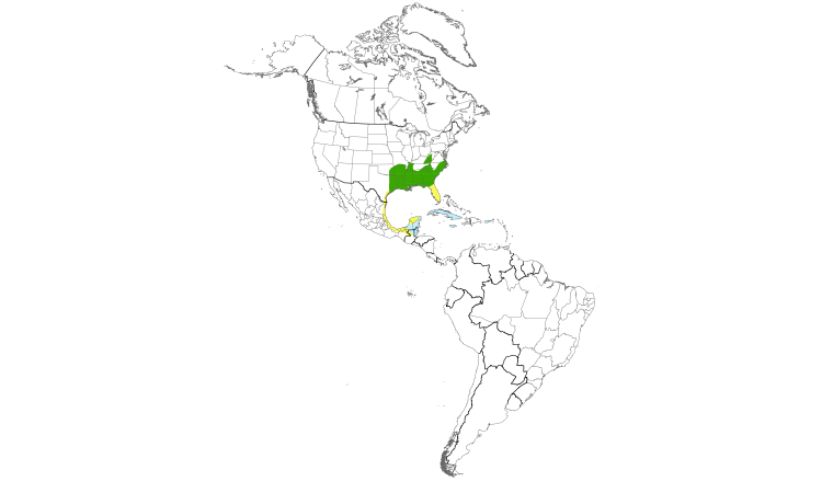 Range Map (Americas): Swainson's Warbler