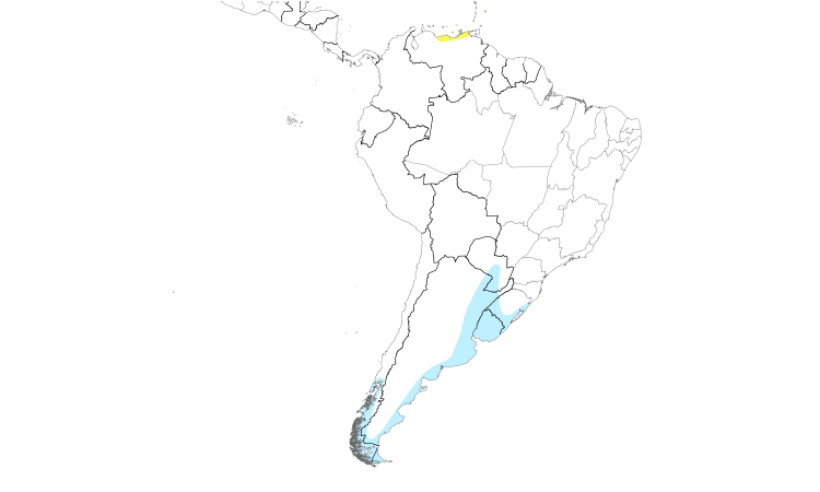 Range Map (South): Hudsonian Godwit