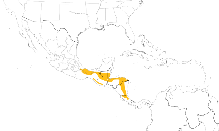 Range Map (Central): Black-crested Coquette