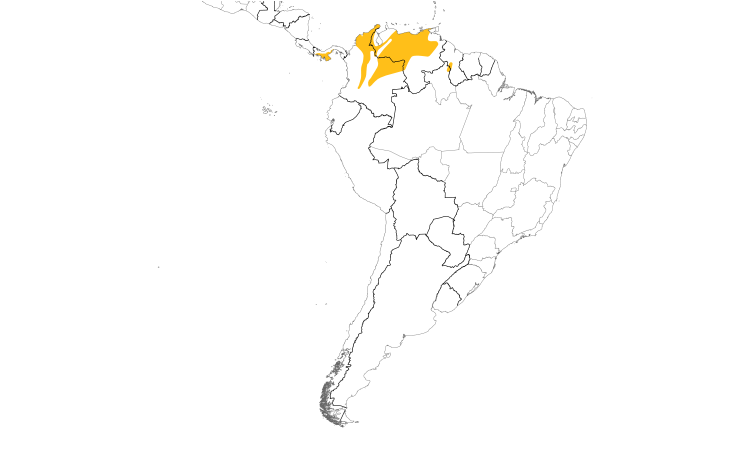 Range Map (South): Pale-eyed Pygmy-Tyrant