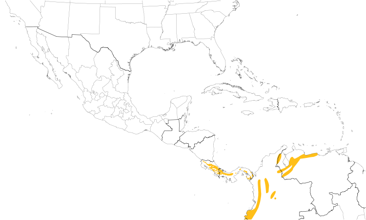 Range Map (Central): Scale-crested Pygmy-Tyrant