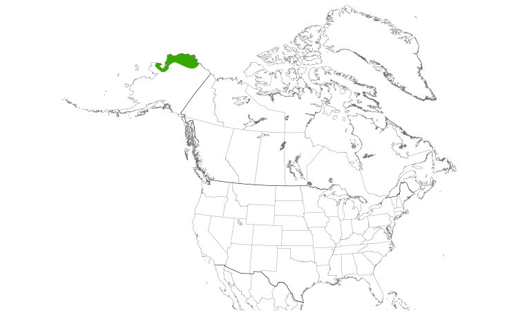 Range Map (North): Bluethroat