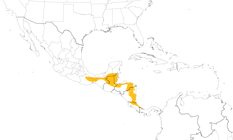 Range Map (Central): White-collared Manakin