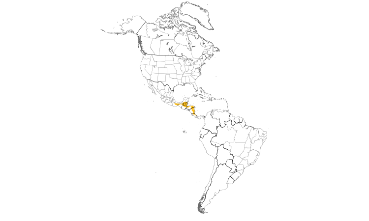 Range Map (Americas): White-collared Manakin