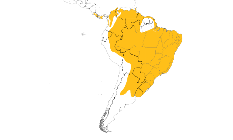 Range Map (South): Tropical Screech-Owl