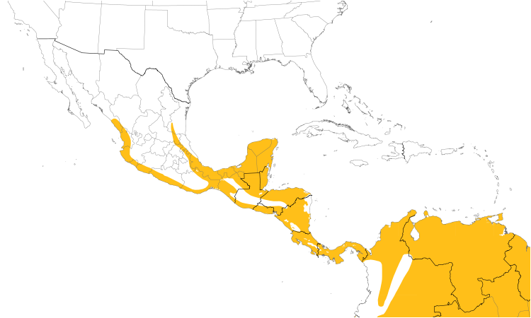 Range Map (Central): Boat-billed Flycatcher