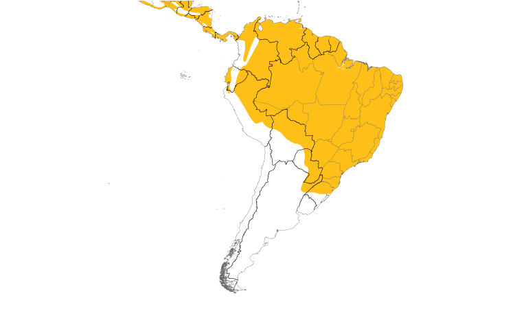 Range Map (South): Boat-billed Flycatcher