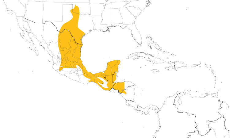 Range Map (Central): Golden-fronted Woodpecker