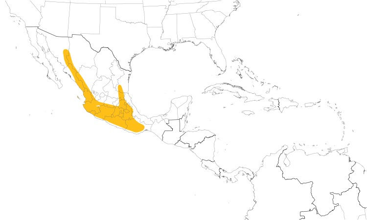 Range Map (Central): Blue Mockingbird