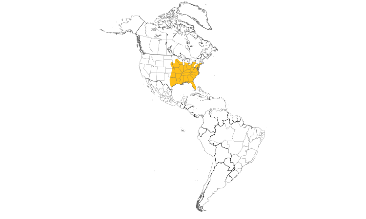 Carte de répartition  (Americas): Pic à ventre roux
