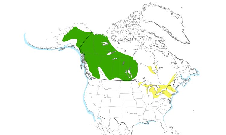 Range Map (North): White-winged Scoter