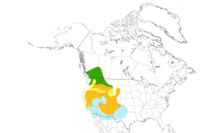 Range Map (North): Lewis's Woodpecker