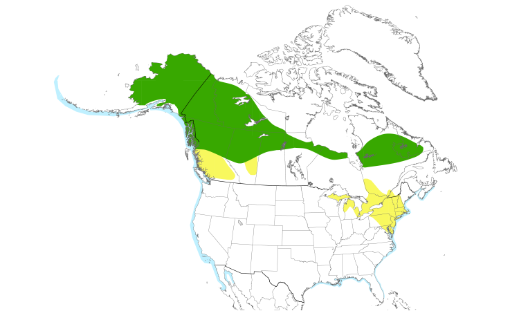 Range Map (North): Surf Scoter