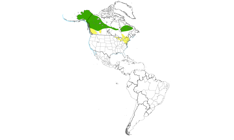 Range Map (Americas): Surf Scoter