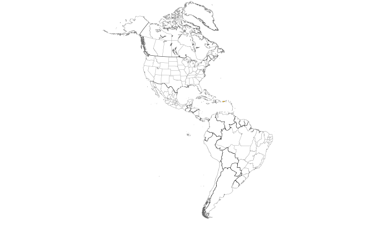 Range Map (Americas): Puerto Rican Woodpecker