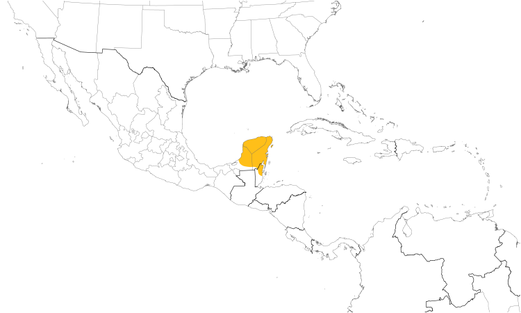 Range Map (Central): Yucatan Woodpecker