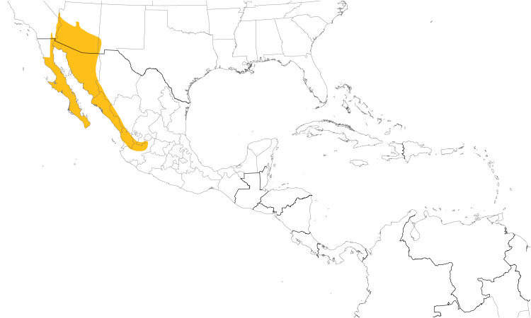 Range Map (Central): Gila Woodpecker