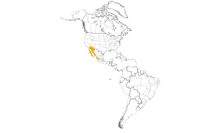 Range Map (Americas): Gila Woodpecker