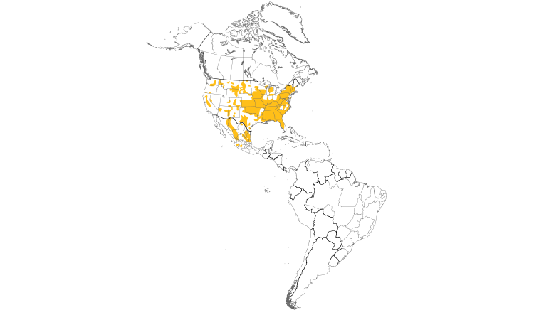 Range Map (Americas): Wild Turkey