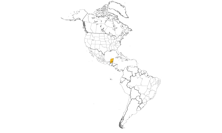Range Map (Americas): Ocellated Turkey